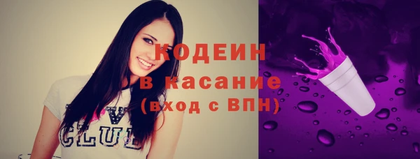 индика Галич
