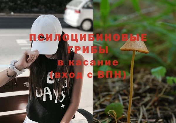 марихуана Новозыбков