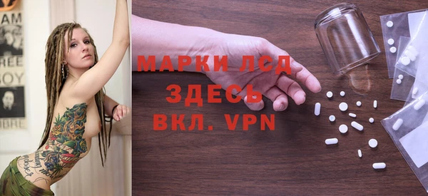 мяу мяу мука Гвардейск