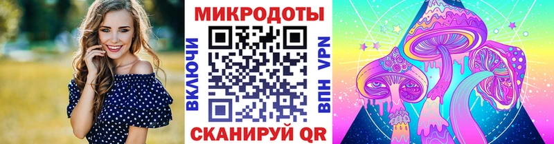 hydra   Никольск  Псилоцибиновые грибы GOLDEN TEACHER 